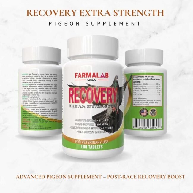 RECOVERY EXTRA STRENGTH FOR PIGEON 100 T | Nutritional Supplement for Pigeon - Image 2