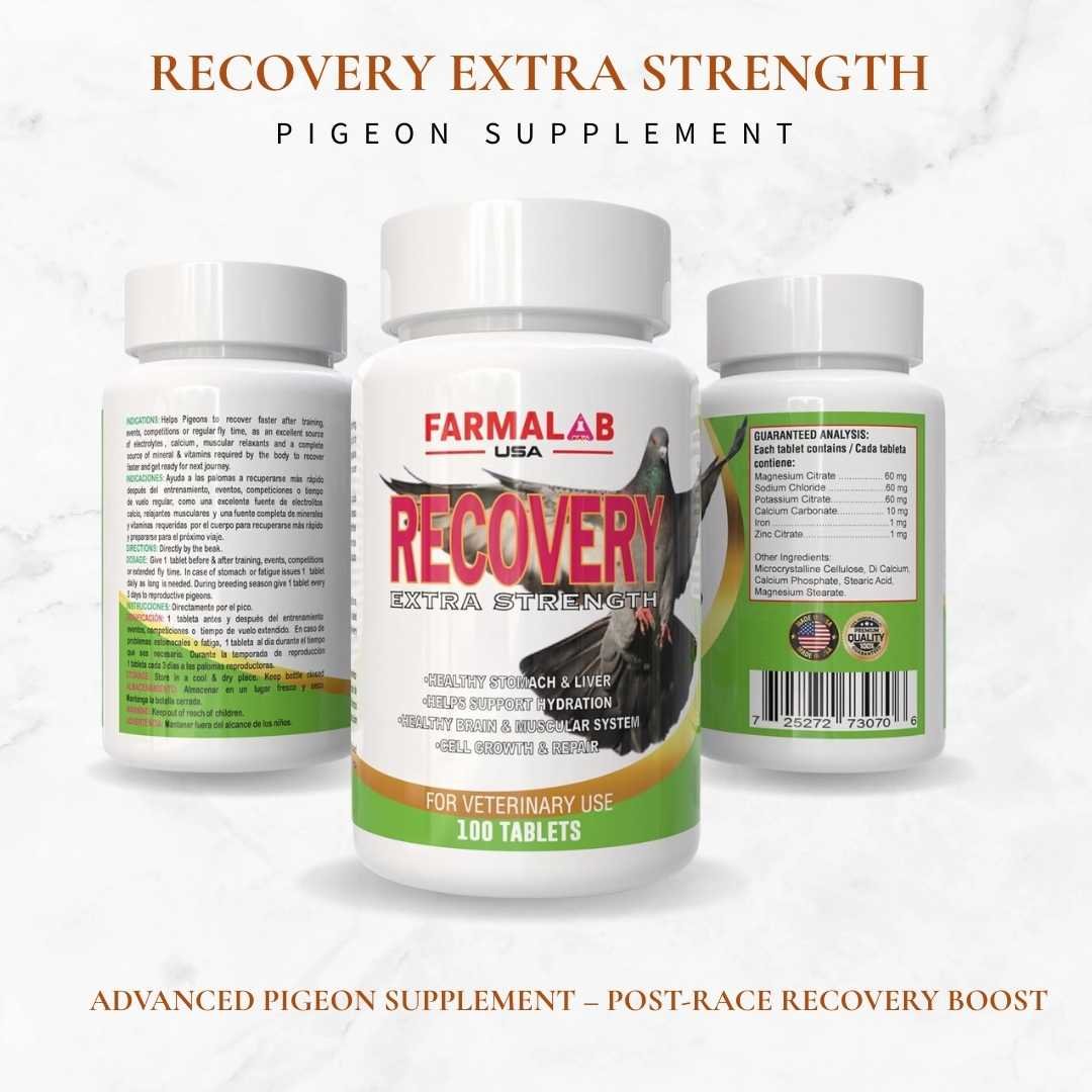 RECOVERY EXTRA STRENGTH FOR PIGEON 100 T | Nutritional Supplement for Pigeon - Image 2