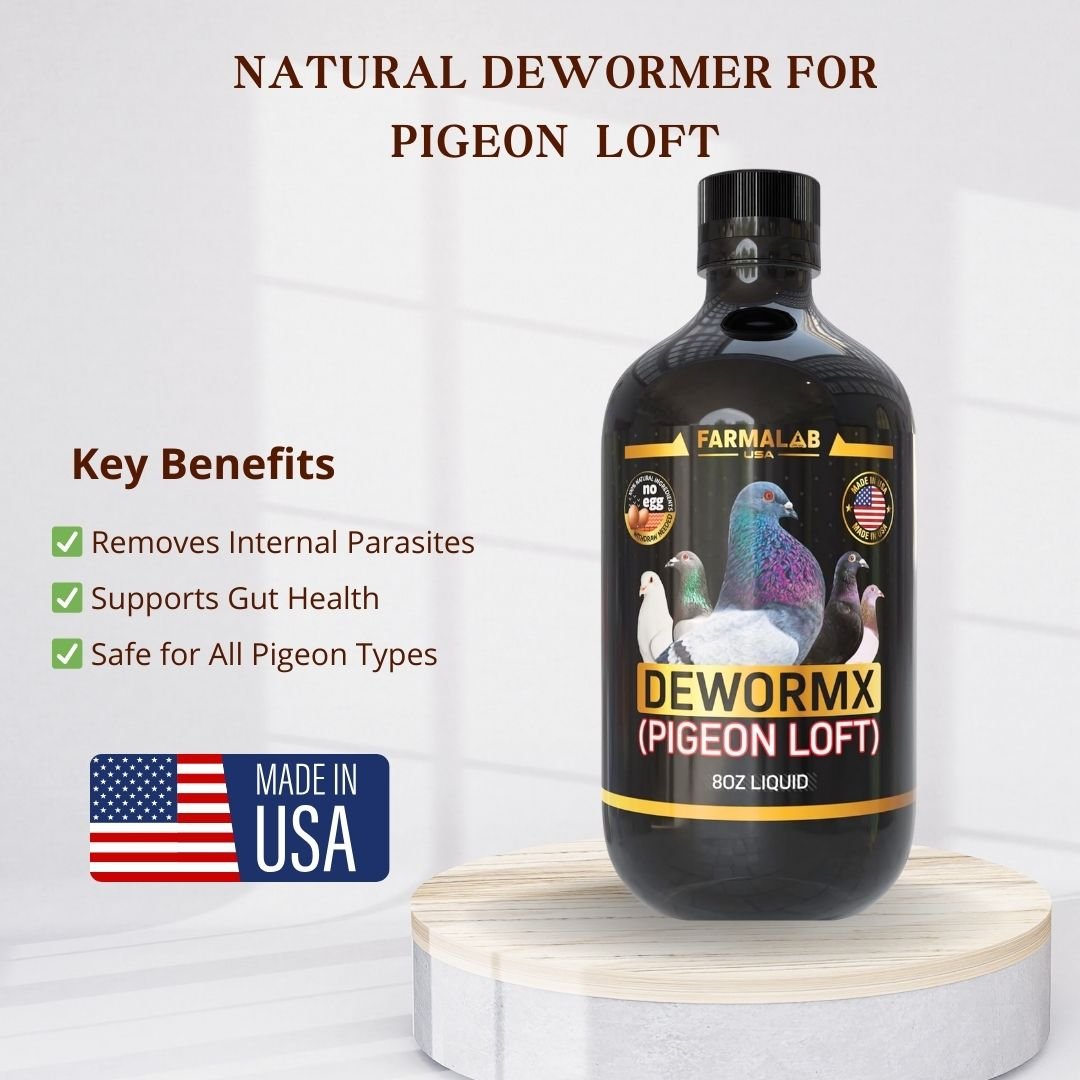 FARMALAB DEWORMX PIGEON LOFT 8 OZ |  Intestinal Parasite Treatment - Image 3
