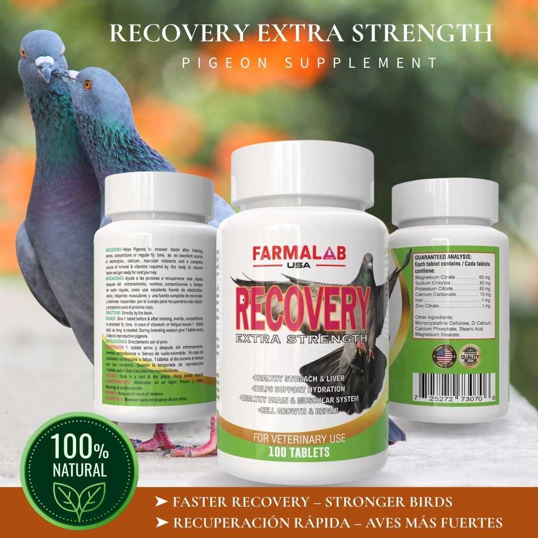 RECOVERY EXTRA STRENGTH FOR PIGEON 100 T | Nutritional Supplement for Pigeon - Image 3