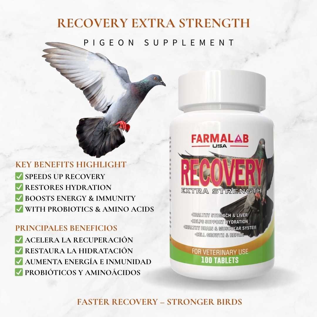 RECOVERY EXTRA STRENGTH FOR PIGEON 100 T | Nutritional Supplement for Pigeon - Image 4