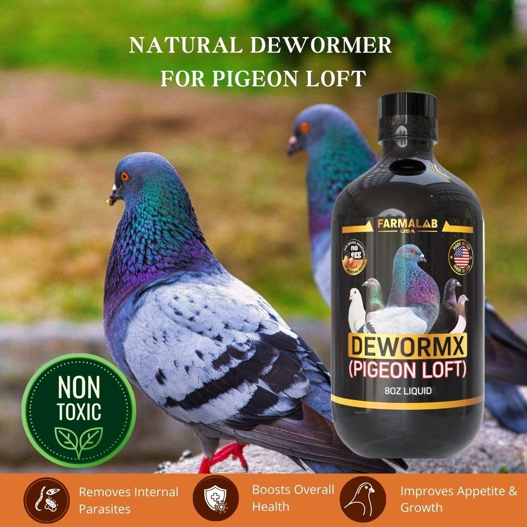 FARMALAB DEWORMX PIGEON LOFT 8 OZ |  Intestinal Parasite Treatment - Image 5