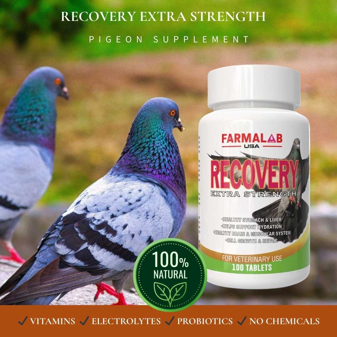 RECOVERY EXTRA STRENGTH FOR PIGEON 100 T | Nutritional Supplement for Pigeon - Image 5