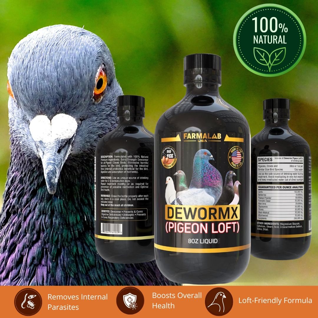 FARMALAB DEWORMX PIGEON LOFT 8 OZ |  Intestinal Parasite Treatment - Image 6