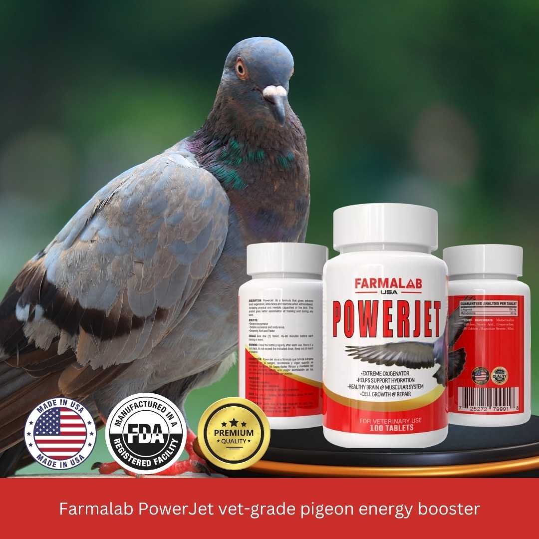POWERJET FOR PIGEON – 100 Tabs | Avian Energy & Respiratory Support-FARMALAB - Image 2