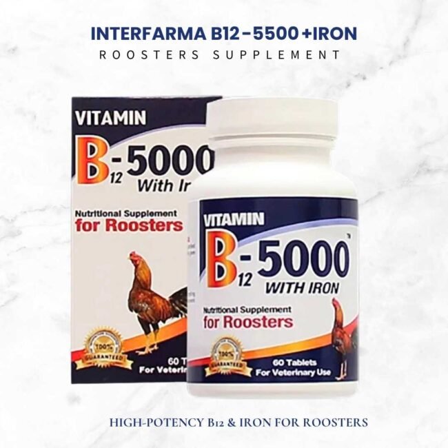 INTERFARMA B12-5000 + IRON for Roosters – 120 Tabs | Strength & Support - Image 2