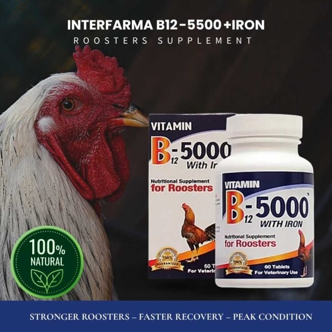 INTERFARMA B12-5000 + IRON for Roosters – 120 Tabs | Strength & Support - Image 5