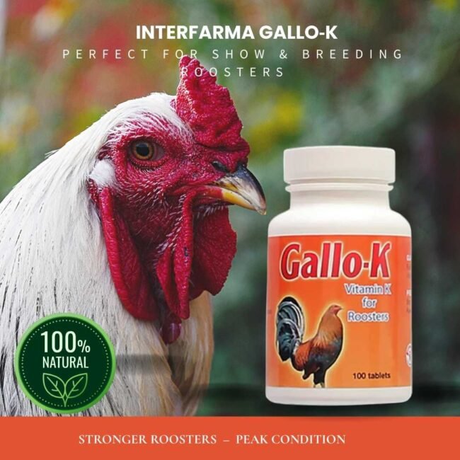 GALLO K for Roosters – 60 Tabs | INTERFARMA CORP | Potassium & Recovery Support - Image 3