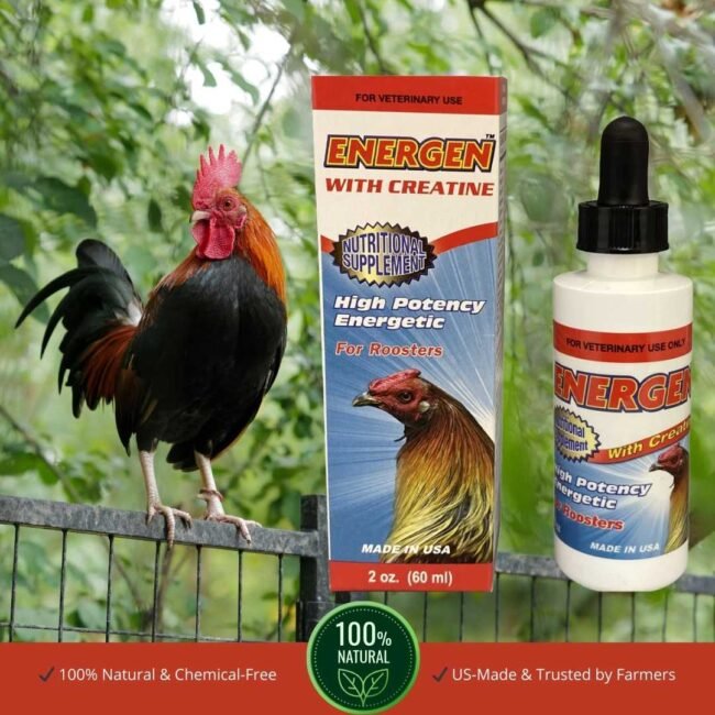 INTERFARMA  ENERGEN + Creatine for Roosters - Extra Strength  60 mL | INTERFARMA - Image 4