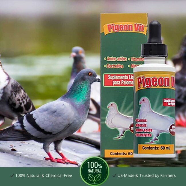 INTERFARMA PIGEON VIT – Complete Vitamin Complex for Pigeons | 100 Tablets | Daily Nutrition & Vitality - Image 3