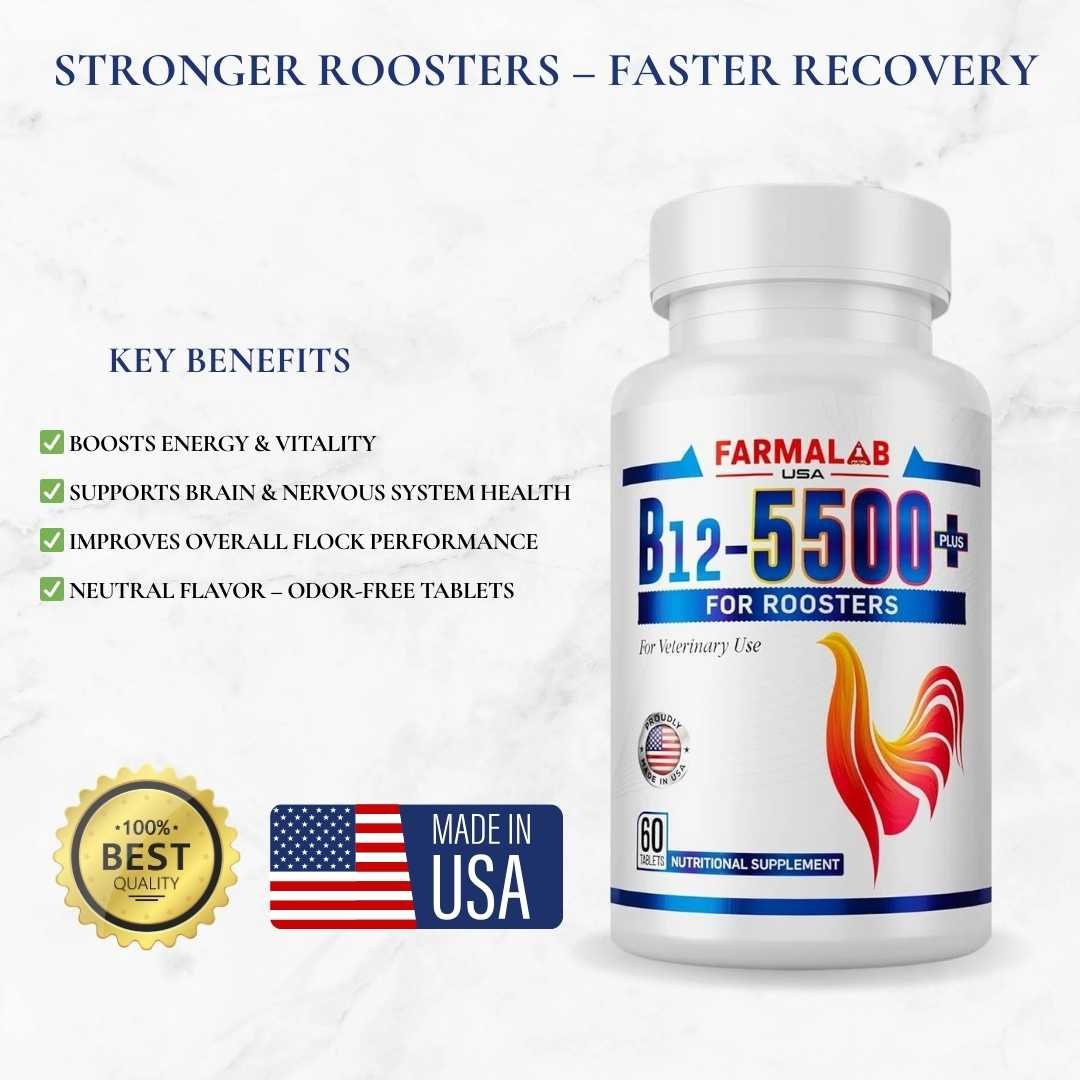 FARMALAB B12 5500 Plus for Rooster Chicken Hens 60 Count - Image 2