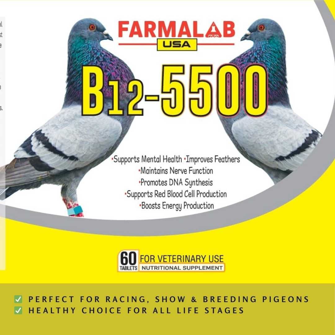 FARMALAB B12-5500+ FOR PIGEON 60 T | Nutritional Supplement for Pigeon | - Image 2