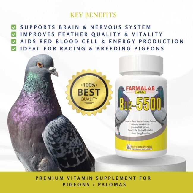 FARMALAB B12-5500+ FOR PIGEON 60 T | Nutritional Supplement for Pigeon | - Image 3