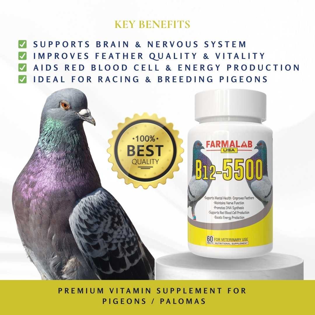 FARMALAB B12-5500+ FOR PIGEON 60 T | Nutritional Supplement for Pigeon | - Image 3