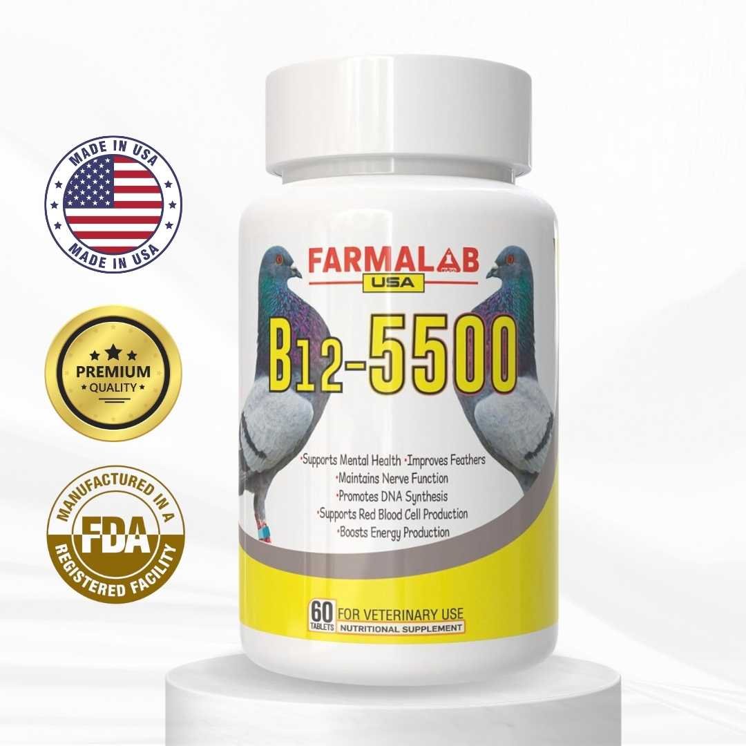 farmalab-b12-5500-pigeons