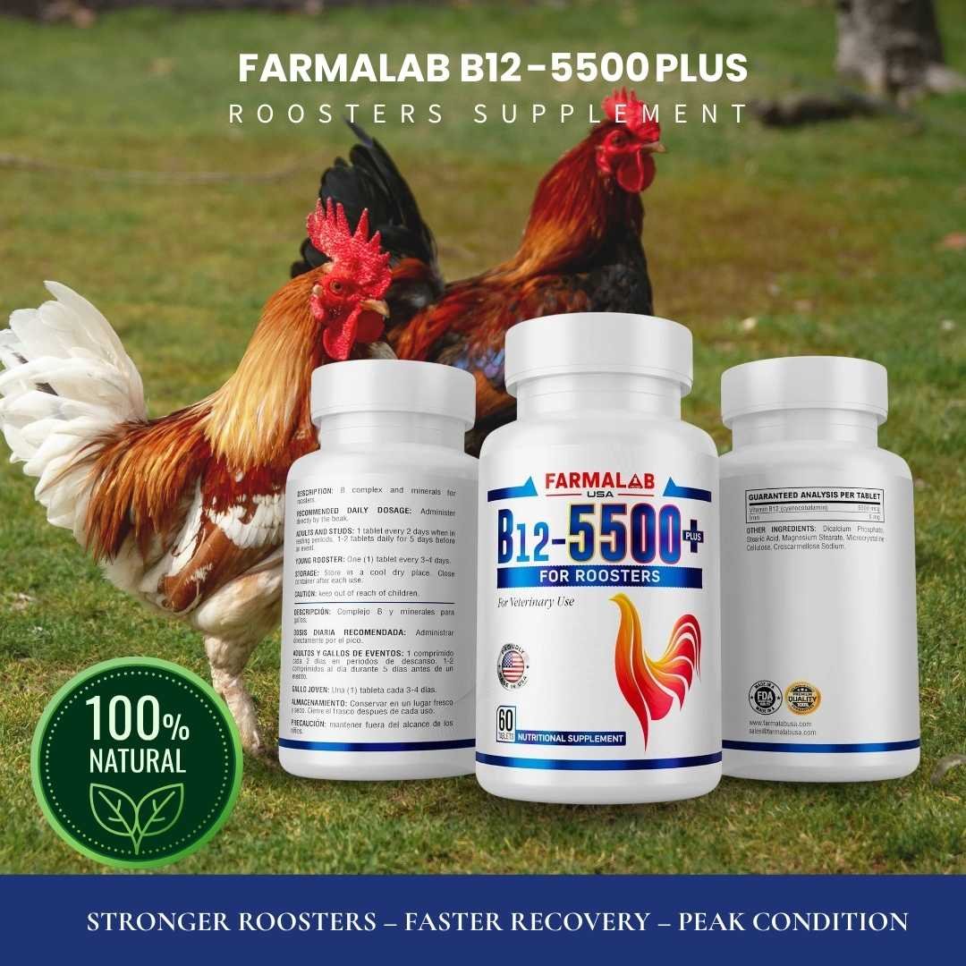 FARMALAB B12 5500 Plus for Rooster Chicken Hens 60 Count - Image 5