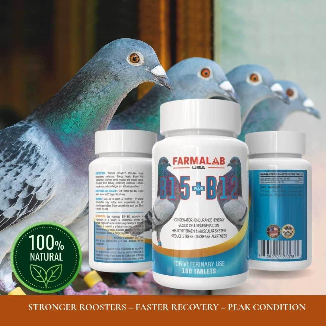 PIGEON  B15 + B12 Vitamin Supplement | 100 Tablets | Energy & Endurance Boost - Image 2