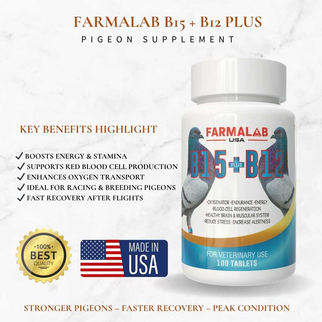 PIGEON  B15 + B12 Vitamin Supplement | 100 Tablets | Energy & Endurance Boost - Image 3