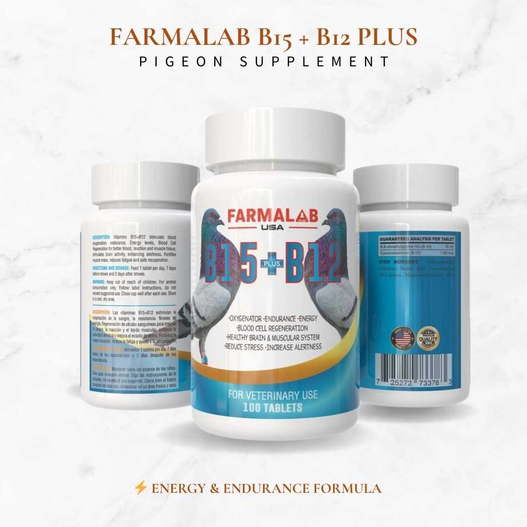 PIGEON  B15 + B12 Vitamin Supplement | 100 Tablets | Energy & Endurance Boost - Image 4