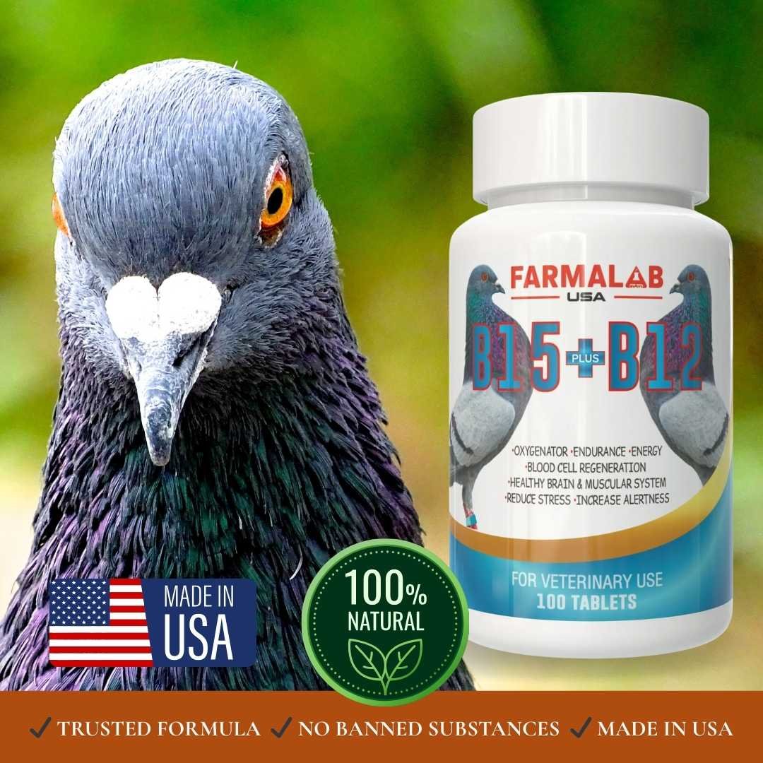 PIGEON  B15 + B12 Vitamin Supplement | 100 Tablets | Energy & Endurance Boost - Image 5