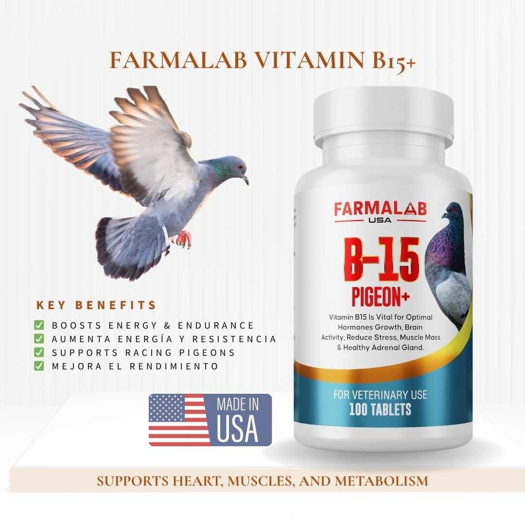 FARMALAB  B15-PIGEON+ 100 T | Nutritional Supplement for Pigeon | - Image 2