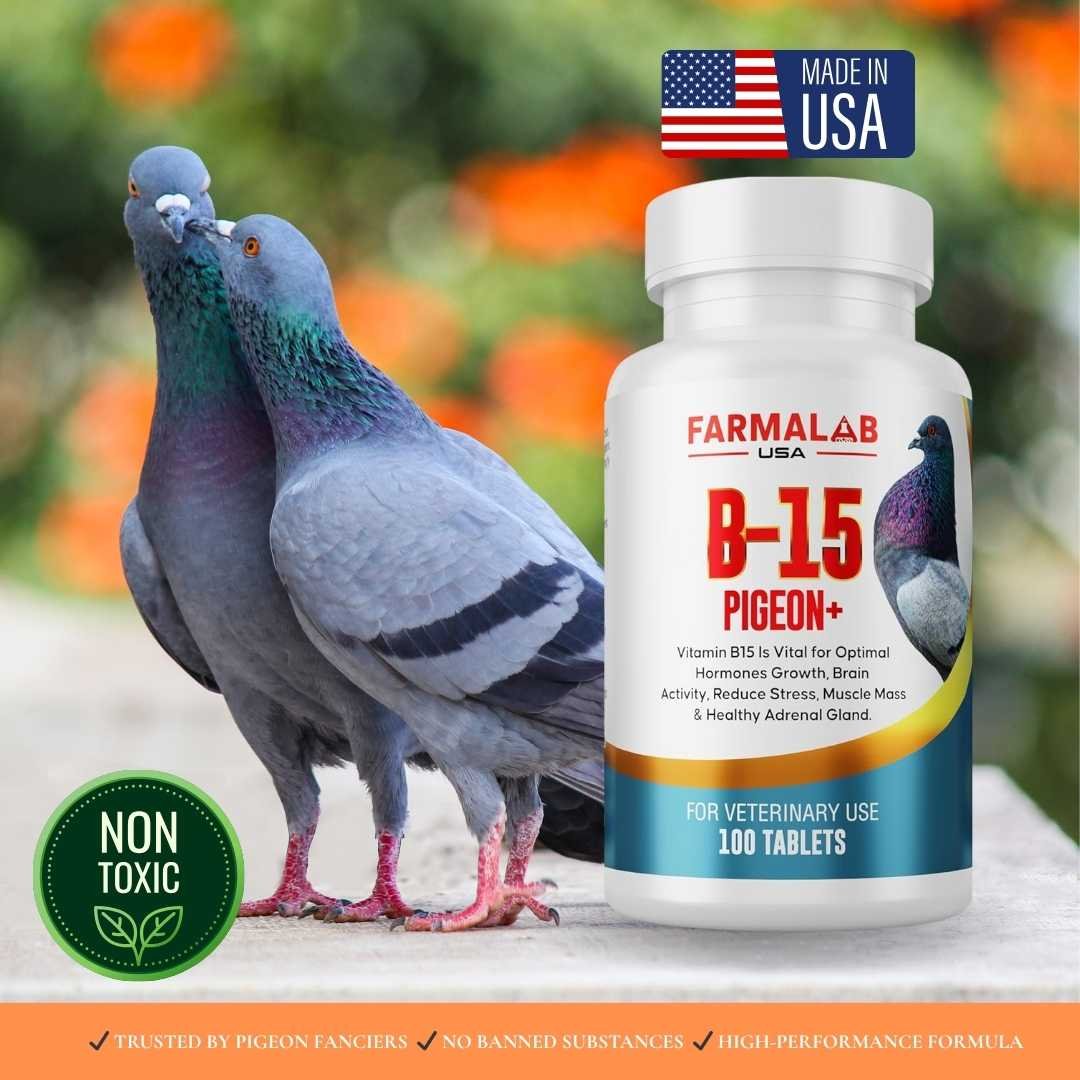 FARMALAB  B15-PIGEON+ 100 T | Nutritional Supplement for Pigeon | - Image 3