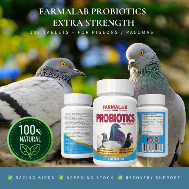 PROBIOTIC for Pigeons – 100 Tabs |FARMALAB  | Gut Health & Digestion | Probiótic - Image 6