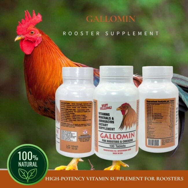 Interfarma Gallomin For Roosters And Chickens, 100 Tablets, Made In USA - Image 2