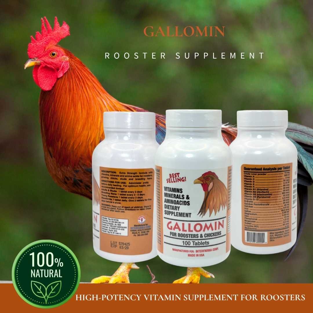 Interfarma Gallomin For Roosters And Chickens, 100 Tablets, Made In USA - Image 2