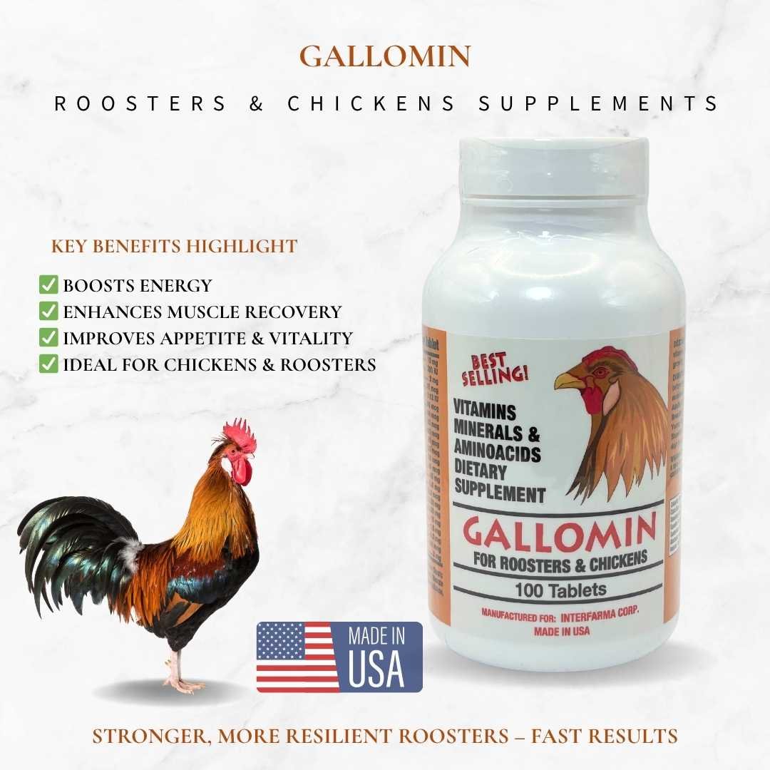 Interfarma Gallomin For Roosters And Chickens, 100 Tablets, Made In USA - Image 3