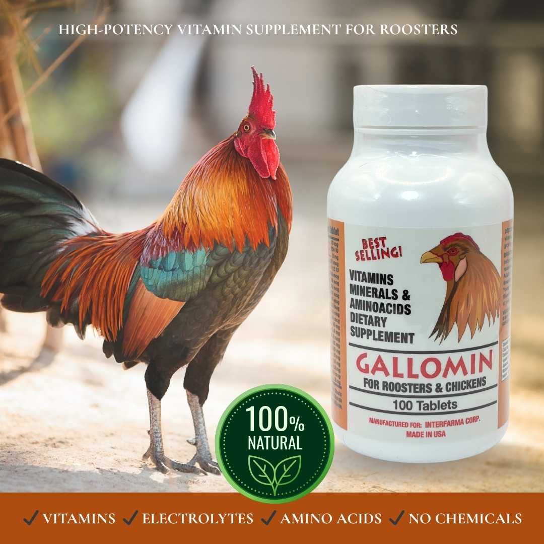 Interfarma Gallomin For Roosters And Chickens, 100 Tablets, Made In USA - Image 4