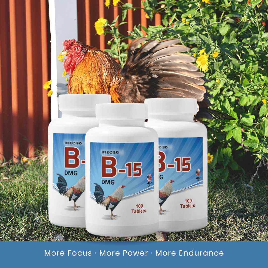 B-15 DMG Supplement For Fine Roosters - Vitamin B15-INTERFARMA - Image 2
