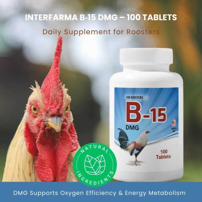 B-15 DMG Supplement For Fine Roosters - Vitamin B15-INTERFARMA - Image 4