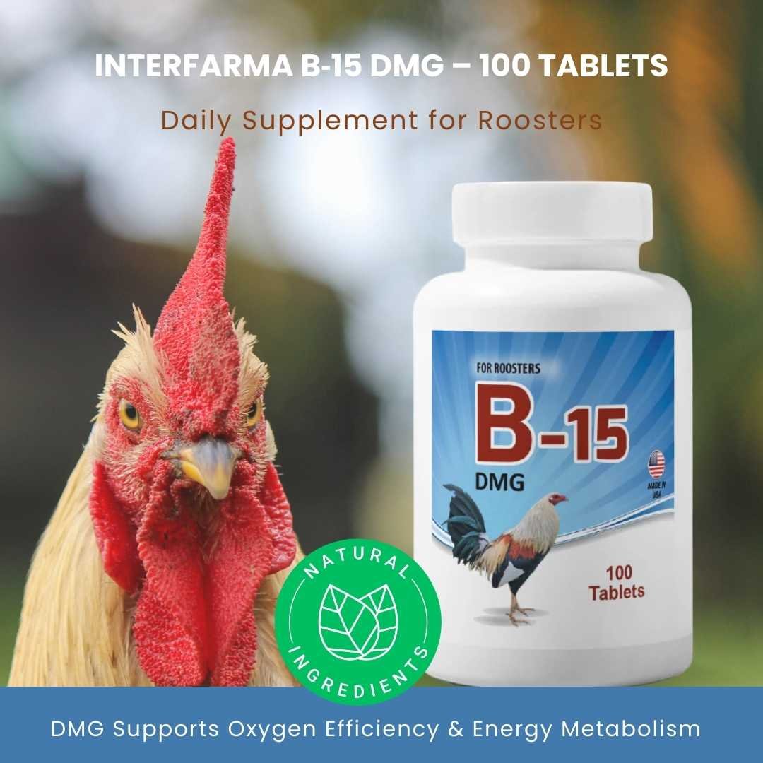 B-15 DMG Supplement For Fine Roosters - Vitamin B15-INTERFARMA - Image 4