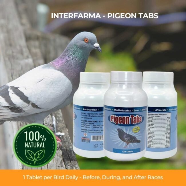 PIGEON TABS 120 T | Nutritional Supplement for Pigeon | INTERFARMA CORP - Image 4