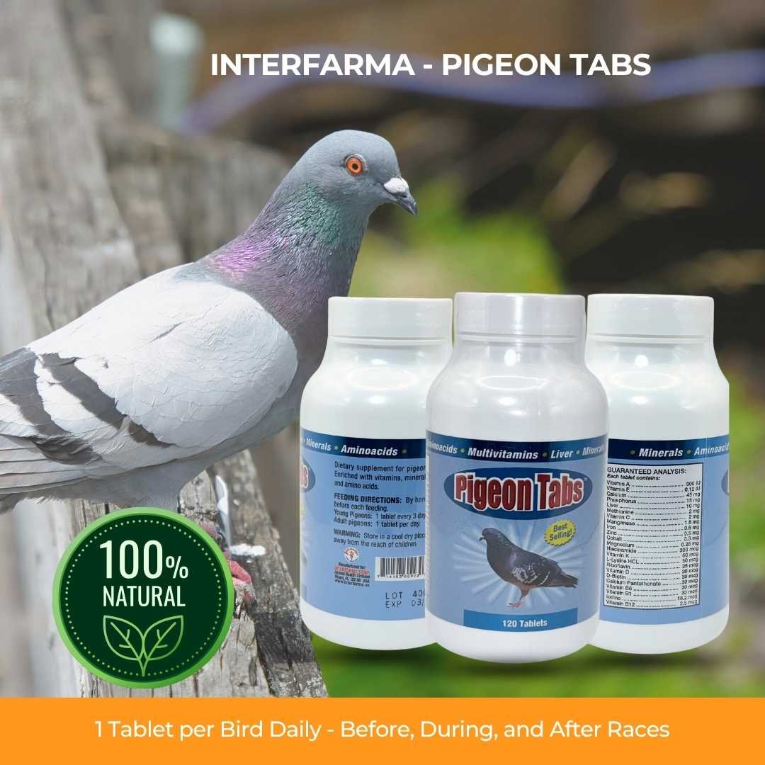 PIGEON TABS 120 T | Nutritional Supplement for Pigeon | INTERFARMA CORP - Image 4