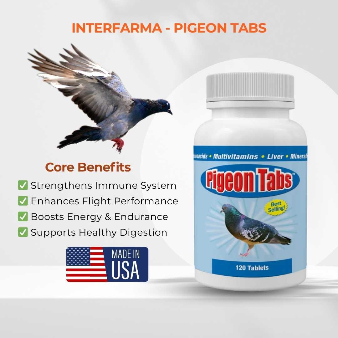 PIGEON TABS 120 T | Nutritional Supplement for Pigeon | INTERFARMA CORP - Image 2
