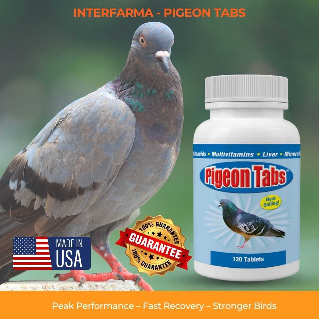 PIGEON TABS 120 T | Nutritional Supplement for Pigeon | INTERFARMA CORP - Image 5