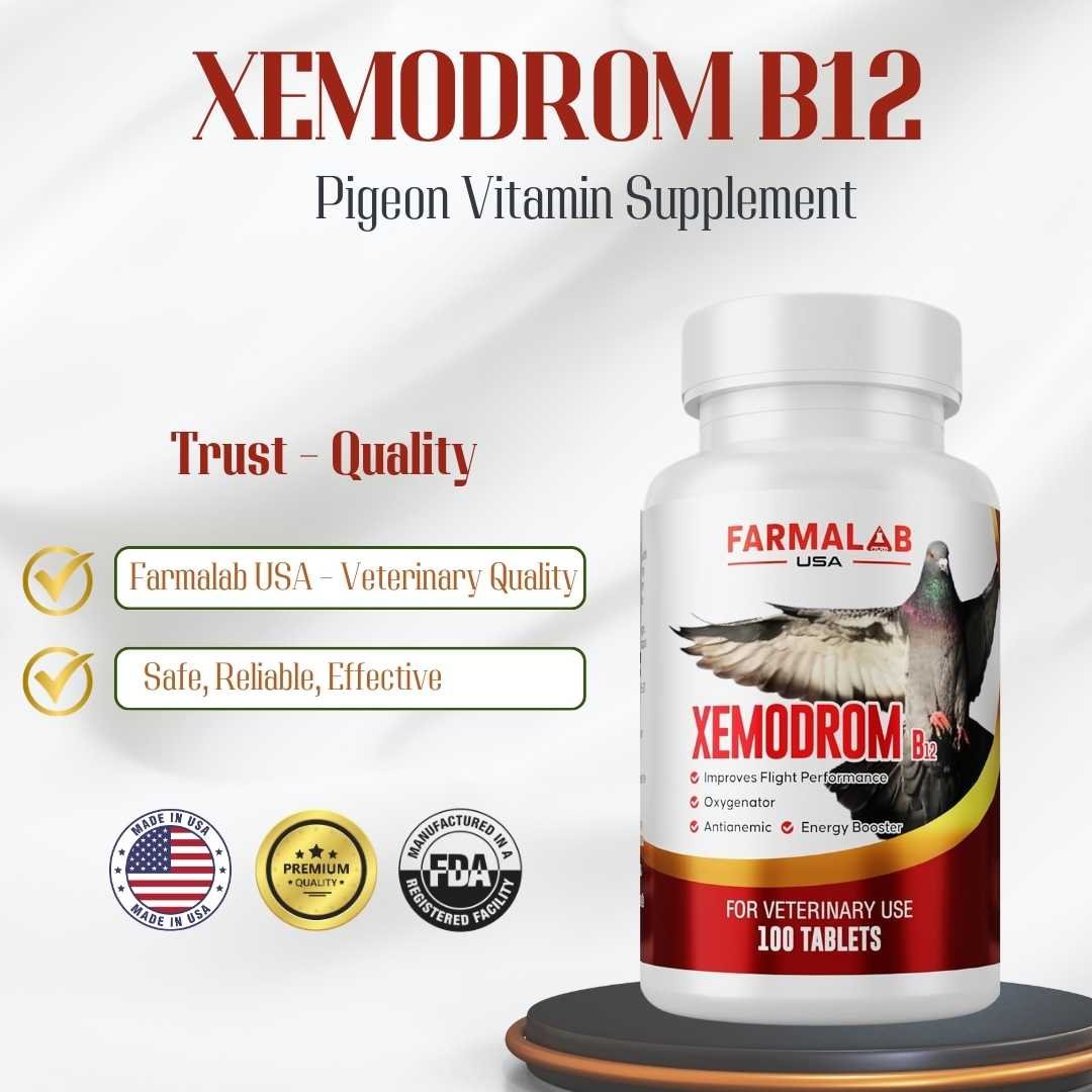 XEMODROM B12 FOR PIGEON 100 T | Flight Energy & Recovery | FARMALAB USA - Image 4