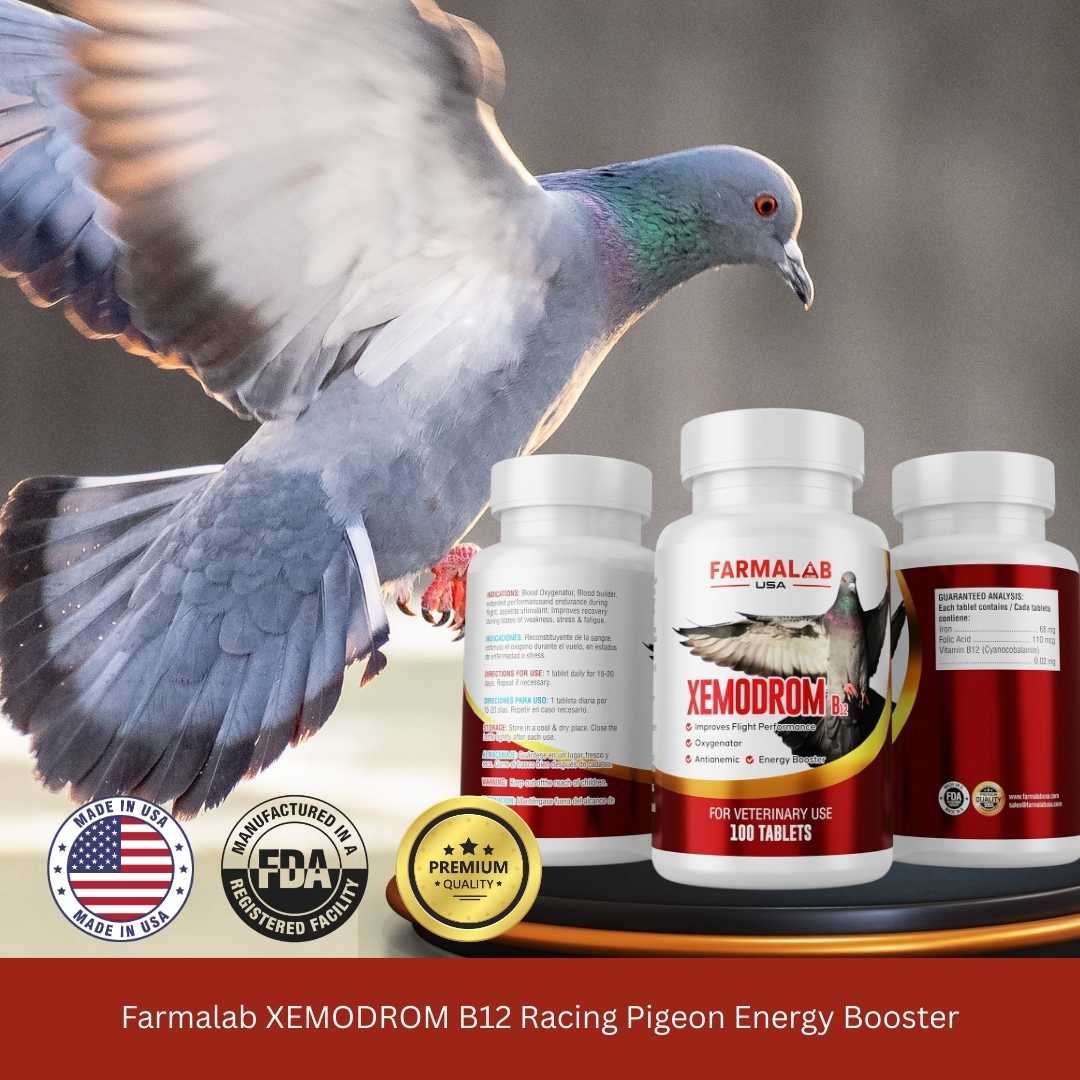 XEMODROM B12 FOR PIGEON 100 T | Flight Energy & Recovery | FARMALAB USA - Image 5